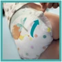 Подгузники Pampers Active Baby Maxi Размер 4 (9-14 кг) 76 шт (8001090949615): Количество в упаковке, шт 76