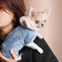 Костюм для собак Pet Fashion ALF джинс S (4823082430055): Размер S