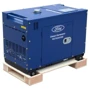 Генератор дизельный Ford FDT9200SE 6kW: Тип запуска электрический пуск
