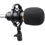 Комплект для записи HL AUDIO BM-800: Разъем XLR