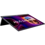 Монитор ASUS ZenScreen MB17AHG (90LM08PG-B01170): Тип ЖК-матрицы IPS