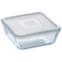 Pyrex (219P001)