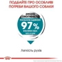 Сухой корм Royal Canin Maxi Joint Care Adult для собак крупных размеров с повышенной чувствительностью суставов 10 кг (2930100): Возраст Взрослые