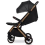 Коляска Lionelo Cloe Black Onyx: Количество блоков 1