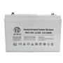 NIGAS GEL 12VDC 100AH (GE100-12): Тип Аккумулятор