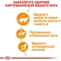 Влажный корм Royal Canin Intense Beauty Jelly для взрослых кошек 85 г (9003579311721): Основные ингредиенты Рыба, Мясо, Злаки