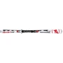 Лижі Rossignol 6 RSX LTD TPI2 + AXIUM 110S TPI2 (2012/2013): Тип гірські лижі