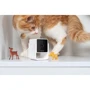 Компактна HD-камера Petcube Cam з нічним баченням та двостороннім аудіозв'язком фото 11