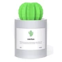 Зволожувач повітря 3Life Cactus USB Humidifier Grey