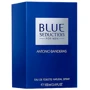 Туалетная вода Antonio Banderas Blue Seduction 100 ml Тестер: Аромат Фруктовый, Водяной