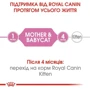 Влажный корм для новорожденных котят Royal Canin Mother & Babycat Cans 195 г (4098002): Возраст Котята