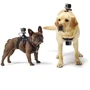 Крепление на собаку MSCAM Fetch Dog для экшн камер GoPro, SJCAM фото 2