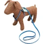 Шлея и поводок Lucky Pet Лапки голубая (4820224219561): Производитель Lucky Pet