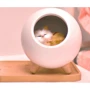 Ночник Спящий кот в домике с сенсорной кнопкой UFT SCH01 Pink: Вид Шар