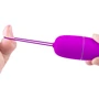 Виброяйцо Pretty Love Selkie Wireless Egg Purple