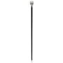 Трость прогулочная Walking Sticks LION (F100) фото 2