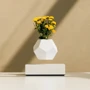 Левітуючий вазон Flyte Planter білий (01-LWHI-MUL-V1-0): Виробник Flyte