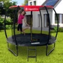 Батут inSPORTline захисною сіткою та драбиною Flea PRO 305 см (23879) фото 9