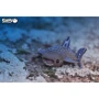 Сборная 3D модель Eugy Зоопарк: Китовая акула (XEG-049)