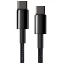 Кабель Baseus Cable USB-C to USB-C Tungsten Gold 100W 1m Black (CATWJ-01) фото 3
