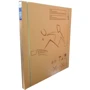 Теннисный стол Donic Indoor Roller 800 , зеленый (230288-G): Категория любительский