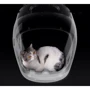 Рюкзак Petkit Backpack for cats White для переноски кошек (Ф23299) фото 10