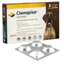 Жевательная таблетка Simparica от блох и клещей для собак 40-60 кг 3 шт., цена  за 1 табл., продажа блистером 3 табл фото 3