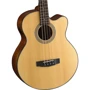 Гитара CORT SJB 5F (Natural Satin) w/bag: Размер Полноразмерная