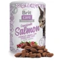 Ласощі Brit Care Cat Snack Superfruits Salmon для стерилізованих кішок лосось 100 г (8595602521449): Властивості Укрепление имунной системы