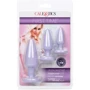 Набор анальных пробок California Exotic Novelties First Time Crystal Booty Anal Plug Set (сиреневый)