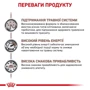 Сухий корм для котів Royal Canin Gastrointestinal при порушеннях травлення 2 кг (39050201): Клас супер преміум