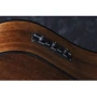 Електроакустична гітара Ibanez AW54CE OPN: Кількість струн 6