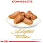 Влажный корм для котов Royal CanIn Maine Coon породы Мейн-кун 85 г (2031001): Возраст Взрослые
