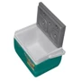 Pinnacle Eskimo 4.5L (0682622060060TURQUOISE): Тип термобокс
