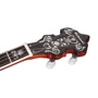 Банджо блюграс Richwood RMB-905-A