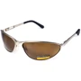 Спортивные очки Защитные очки с поляризацией Black Rhino i-Beamz Polarized (brown), коричневые (GV-IBEAM-BR2)