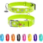 Нашийник Collar Glamour з візерунком Зірочка Світиться з QR паспортом 38-49 см 25 мм салатовий (4823089301365): Виробник Collar