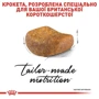 Сухой корм для котов Royal Canin British Shorthair пород британская короткошерстная 2 кг (2557020): Порода Индивидуально для породы