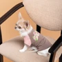Футболка Pet Fashion Rose XS2 девочка (4823082434350): Размер XS2