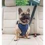 Шлея PetSafe Happy Ride Safety Harness для собак автомобильная черно-синяя M (57857) фото 2