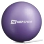 М'яч для фітнесу Hop-Sport 25cm HS-R025PB purple: Діаметр, см 25