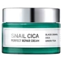 Esthetic House Snail Cica Perfect Repair Cream Крем для лица восстанавливающий с муцином улитки, центеллой и зеленым чаем 50 ml