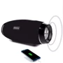 Акустика Hopestar H27 Black: Тип портативная