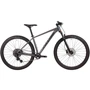 Велосипед Cyclone 29" AX L серый (25-131)