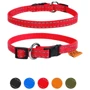 Нашийник Collar Dog Extremе 10 мм 20-30 см червоний (4820082494278)