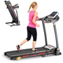 Беговая дорожка БinSPORTline Lavister (13150)