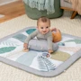Розвиваючий килимок Ingenuity Sprout Spot (12811): Виробник Ingenuity