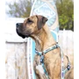 Поводок короткий для собак Max & Molly Short Leash - Aloha S (4894512050662): Длина 1.2 м