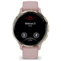 Смарт-часы Garmin Venu 3S Soft Gold Stainless Steel Bezel with Dust Rose Case and Silicone Band (010-02785-03): Дисплей 1.2" AMOLED (390x390)