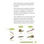 Oxford Read and Discover 3: Amazing Minibeasts: Виробник Oxford University Press